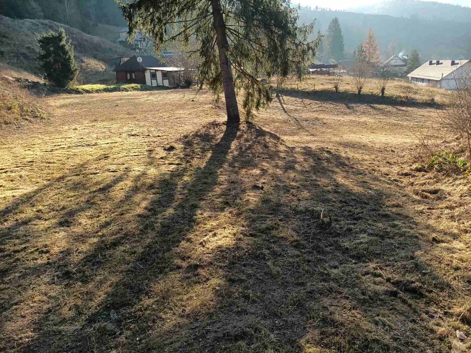 1831489265648241
