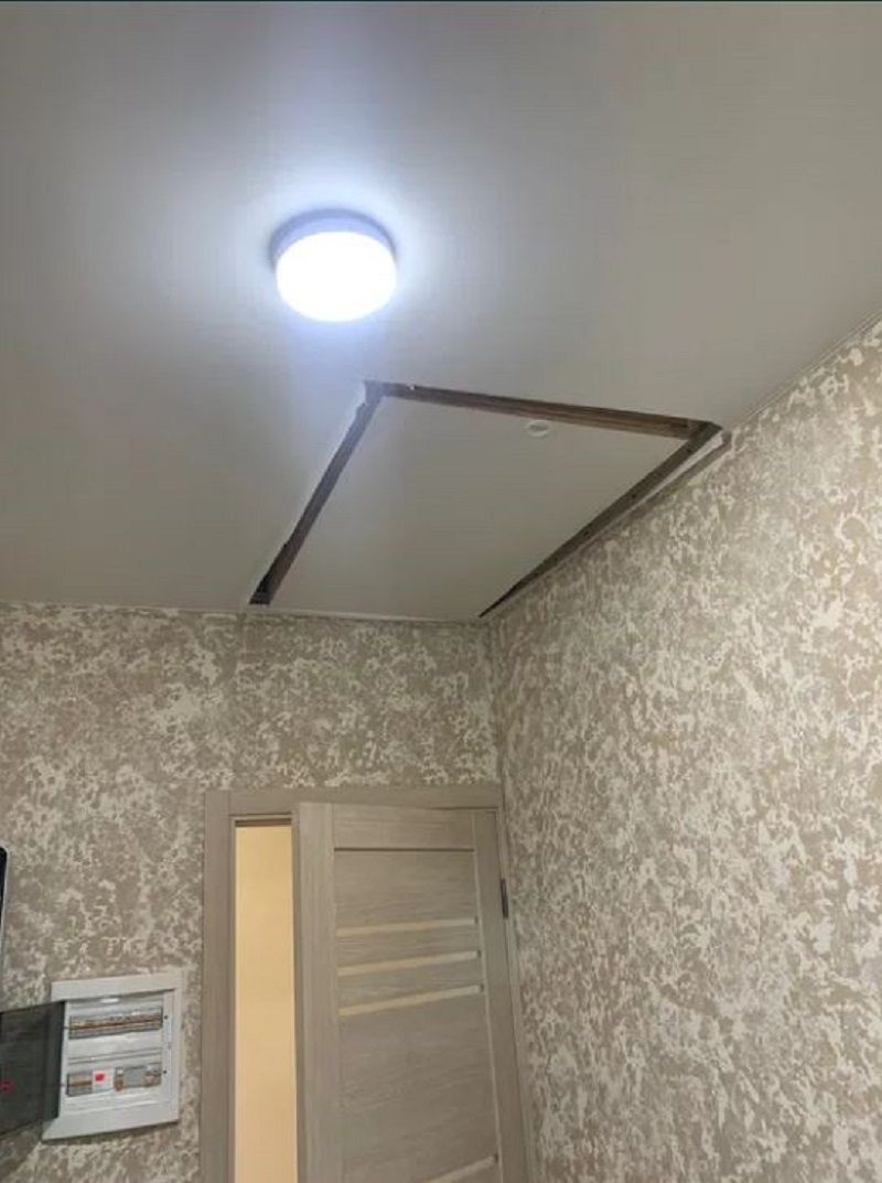 1831933998425243