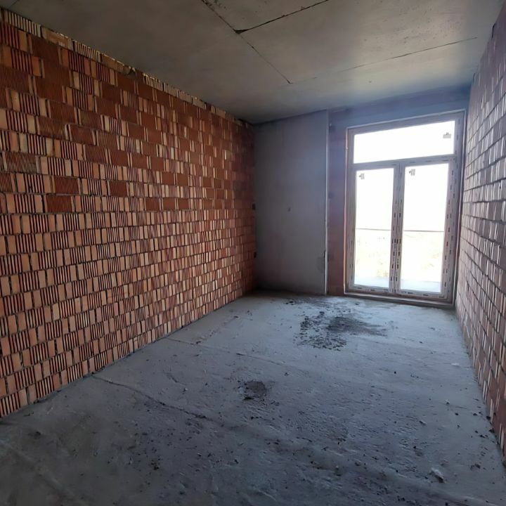 1834467781666244