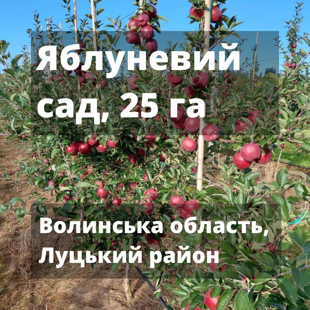 1839699760015252