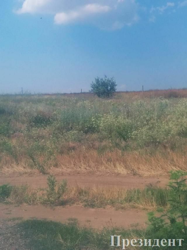 1795936547734256