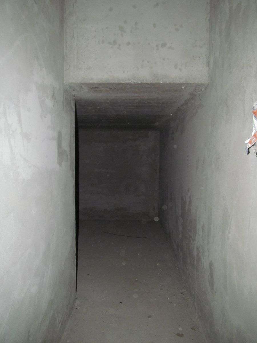 1834008156385259