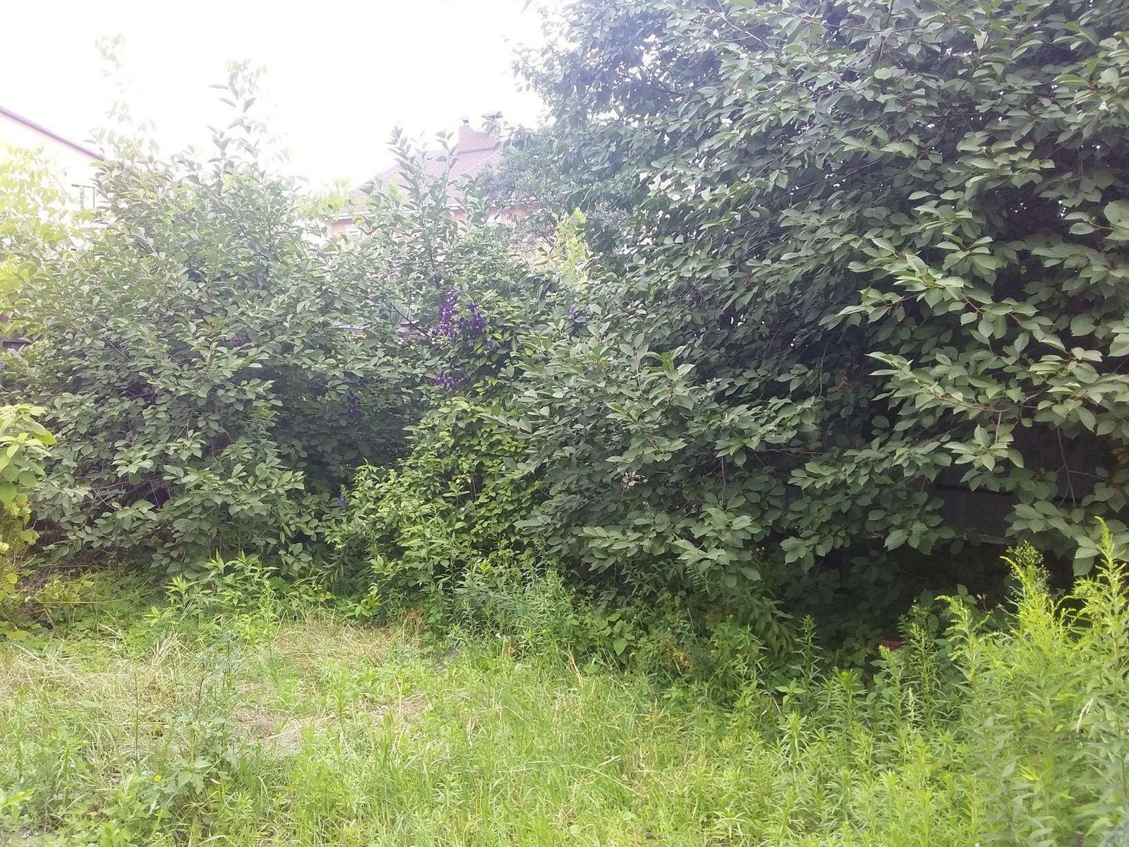 1812544442244026
