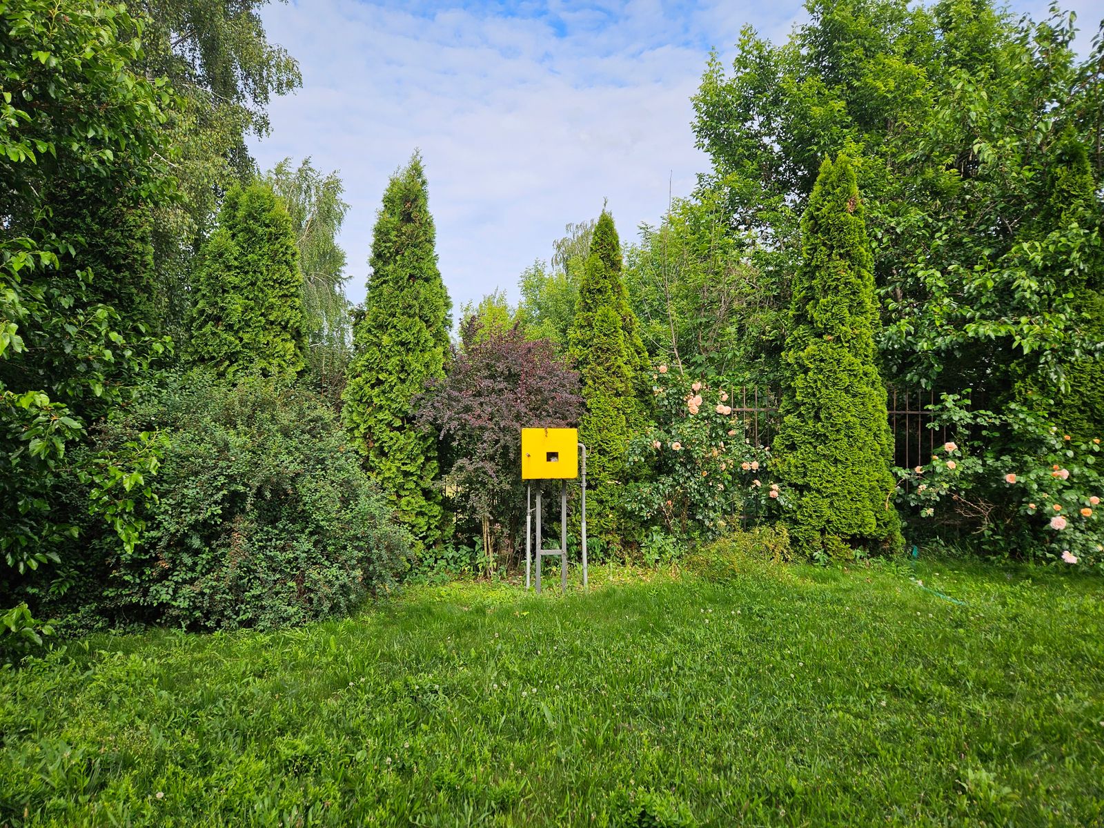 1835372366415264