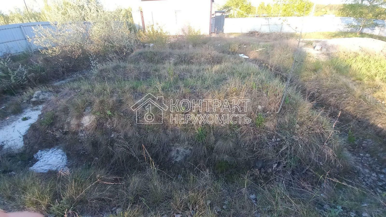 1836187838431264