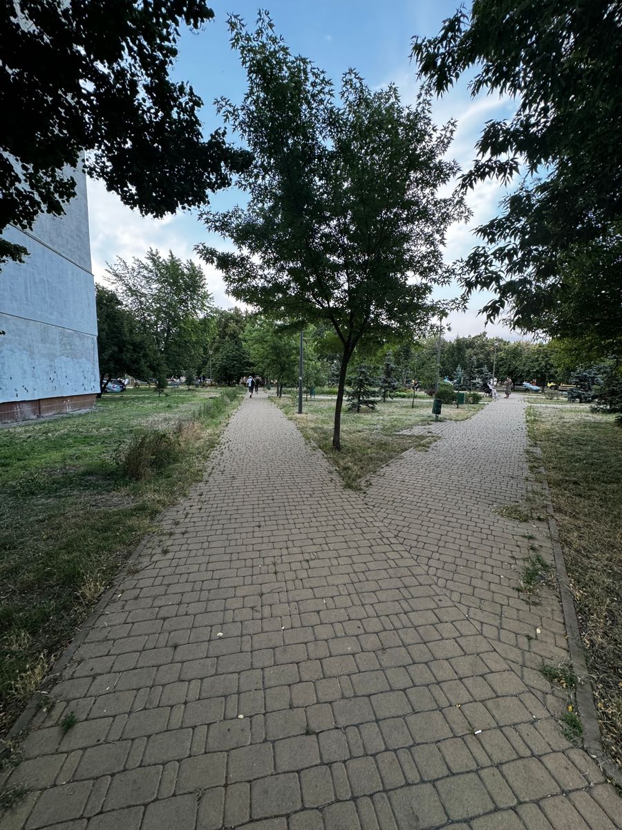 1836955885188264
