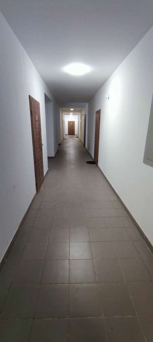 1837247216338266