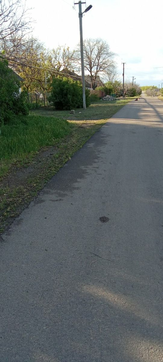 1835445056299269
