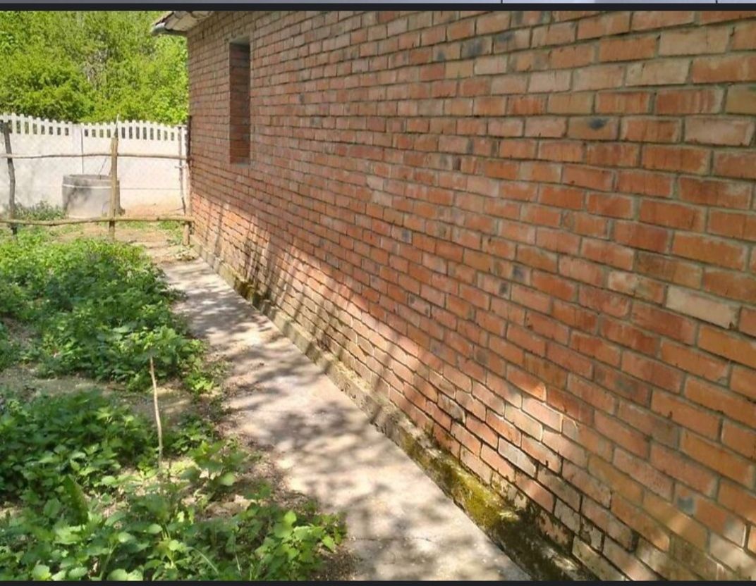 1837881620892273