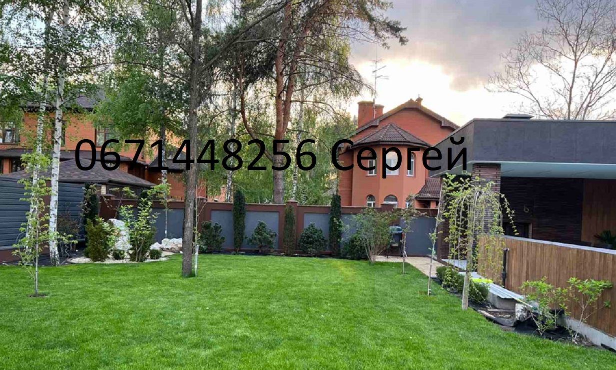 1757731356916275