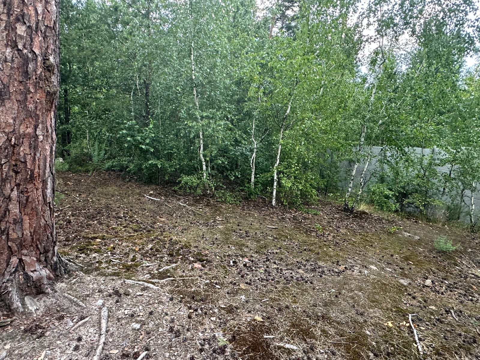 1838878154643275