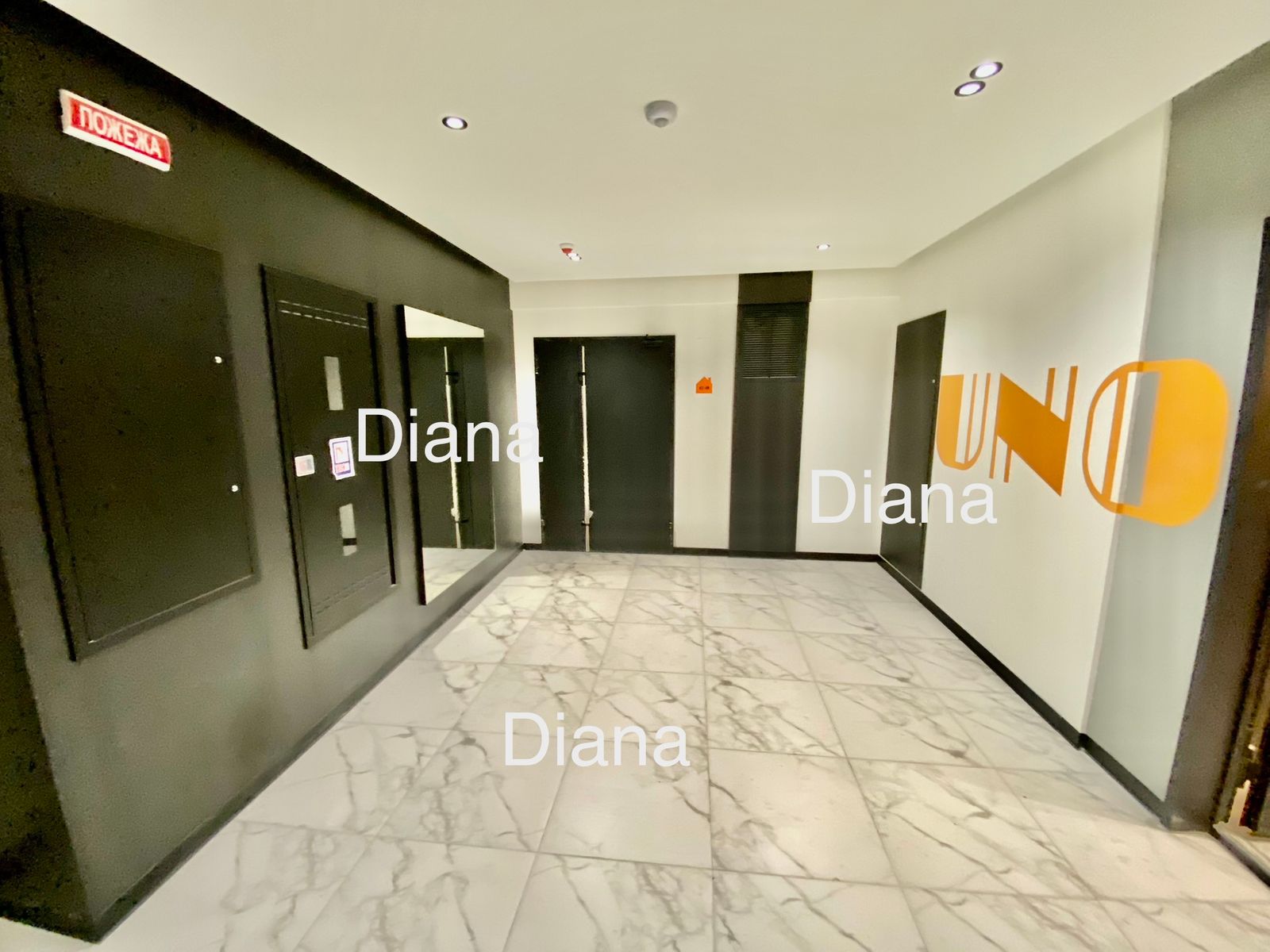 1774036952243277