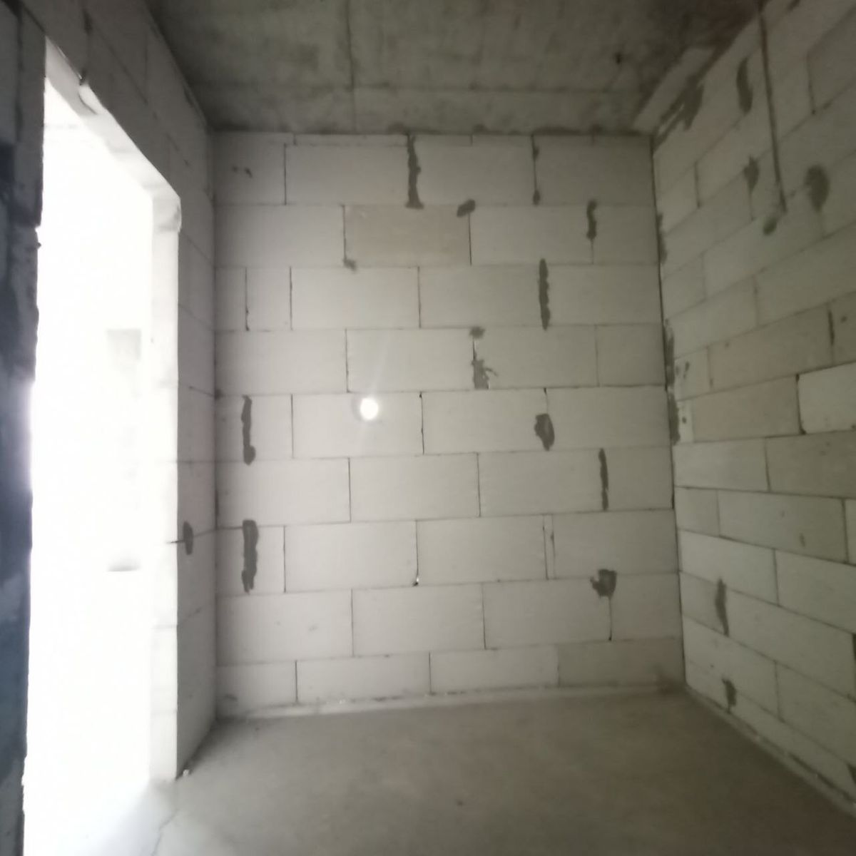 1833536864667280