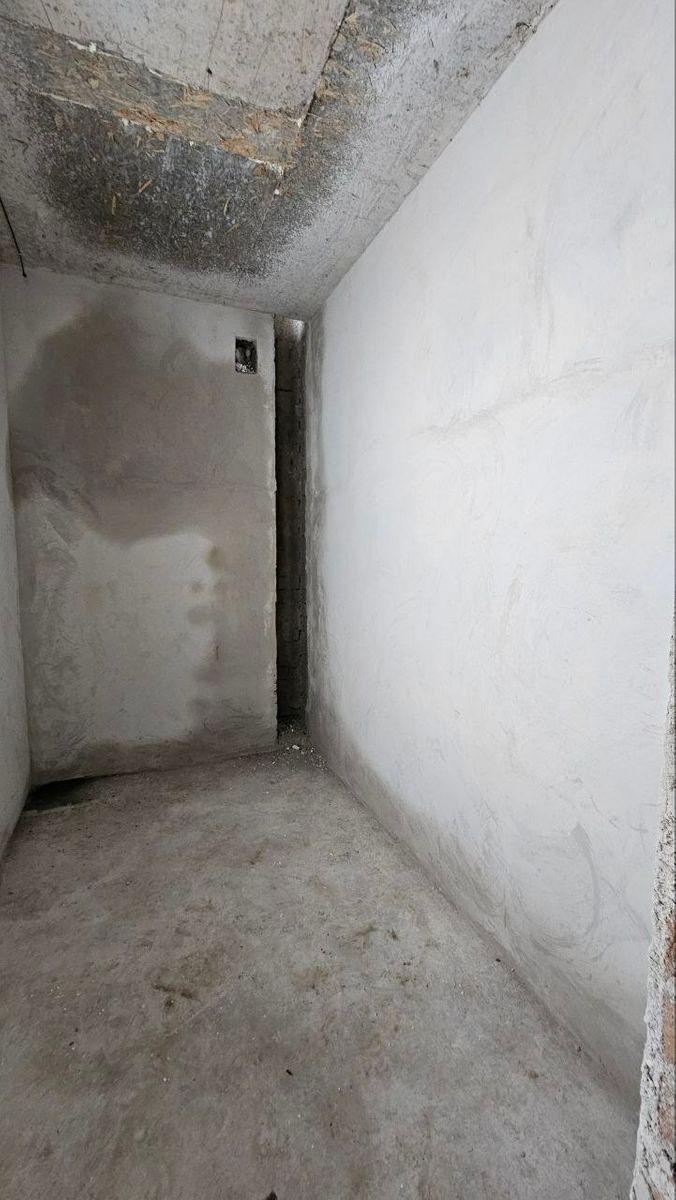 1833257346816291