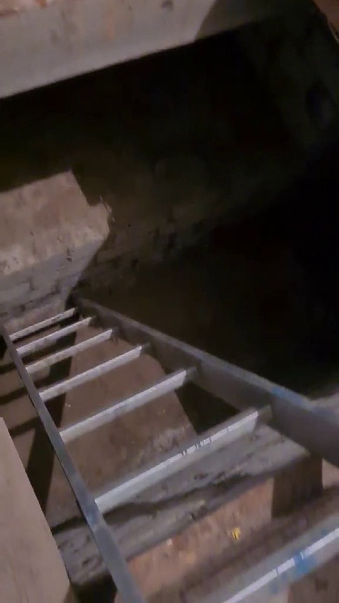 1834733041757297