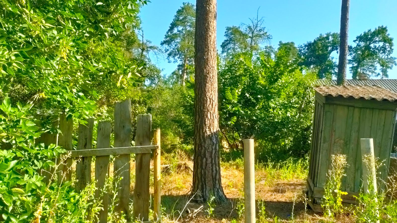 1840268453310297