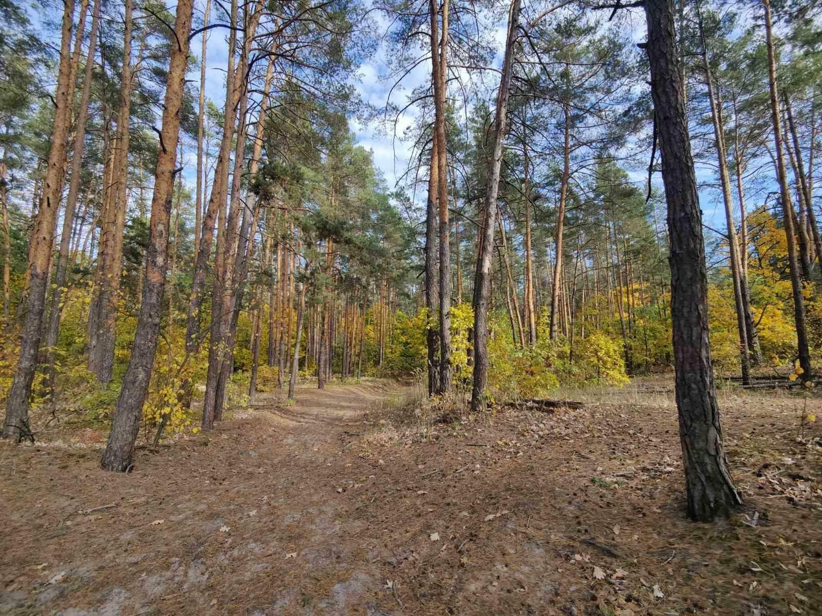 1825696954824301