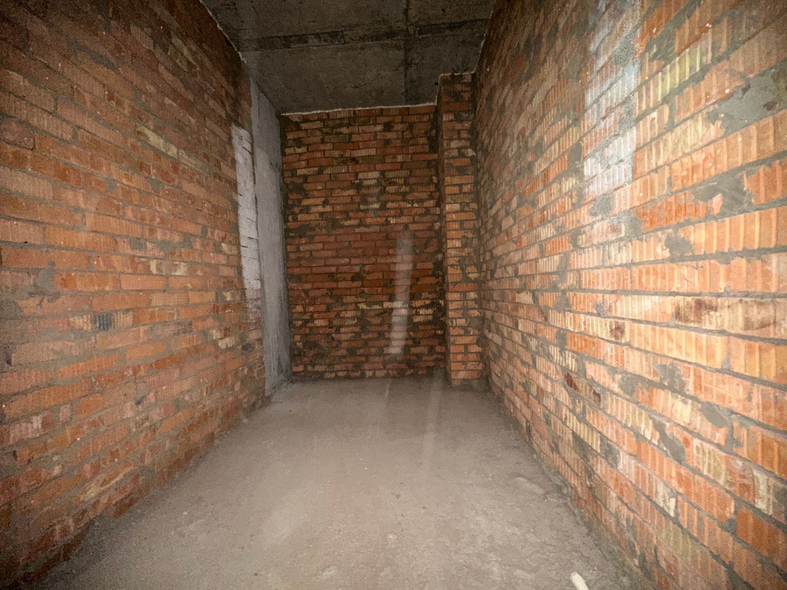 1830911392249302