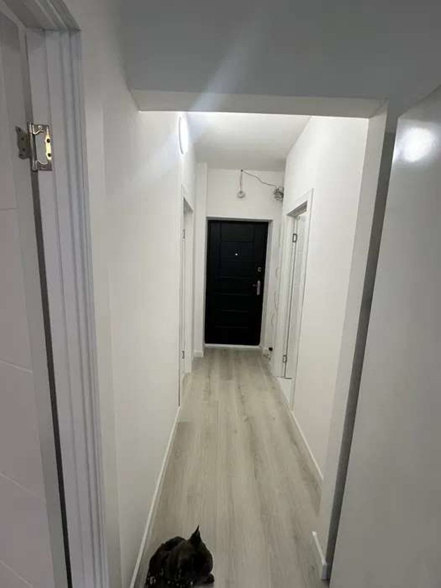 1833660728256307