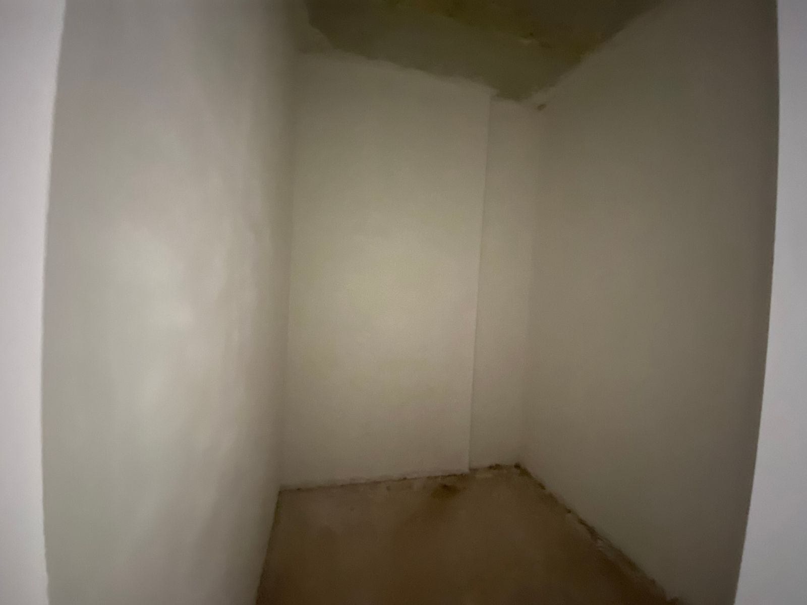 1831684768651311