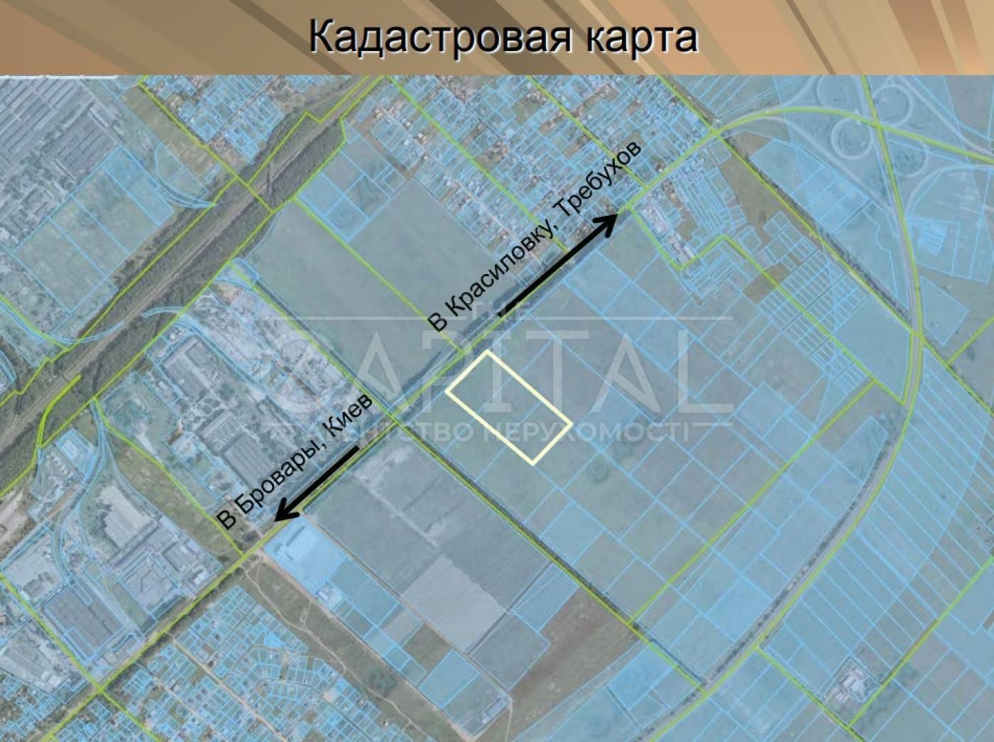 1834819352678312