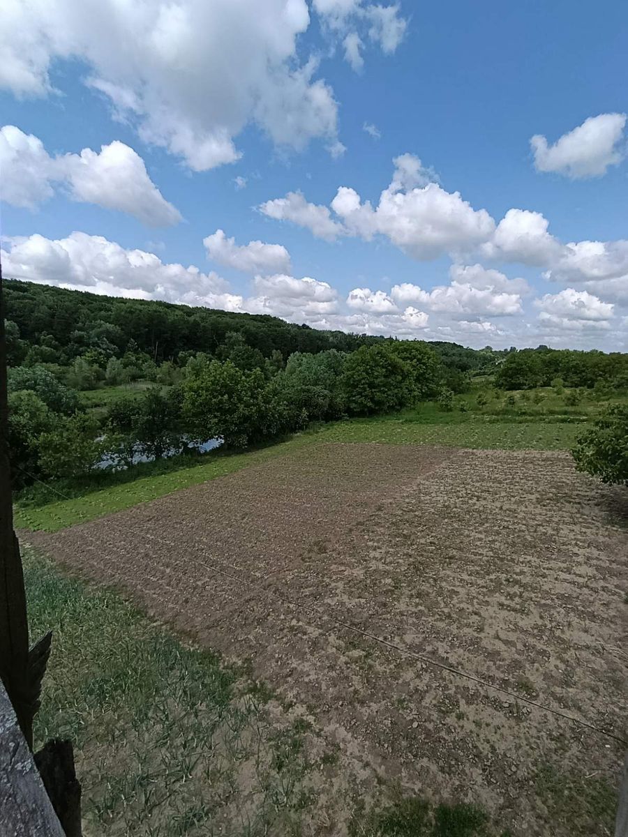 1835085424356312