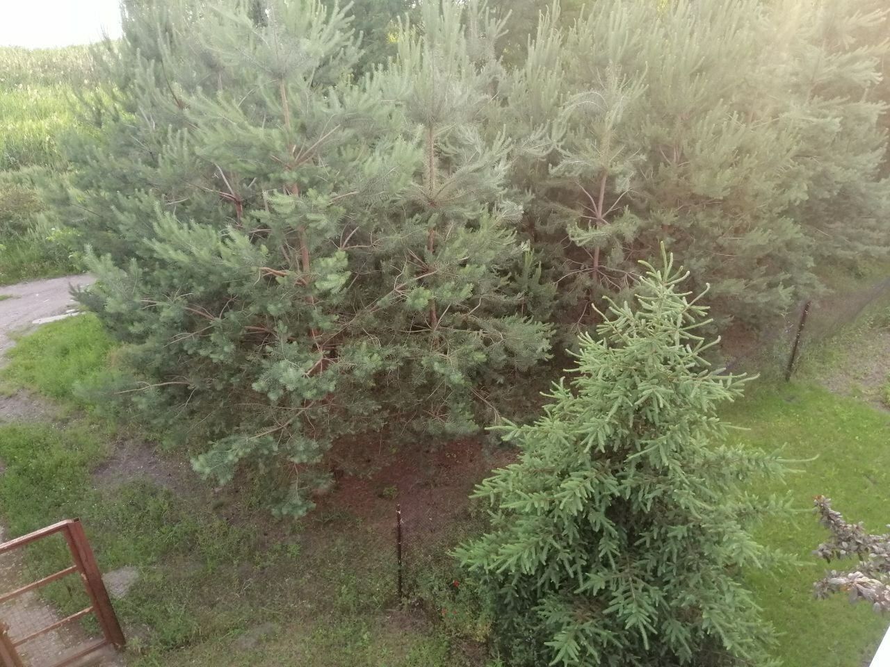 1767333677319324