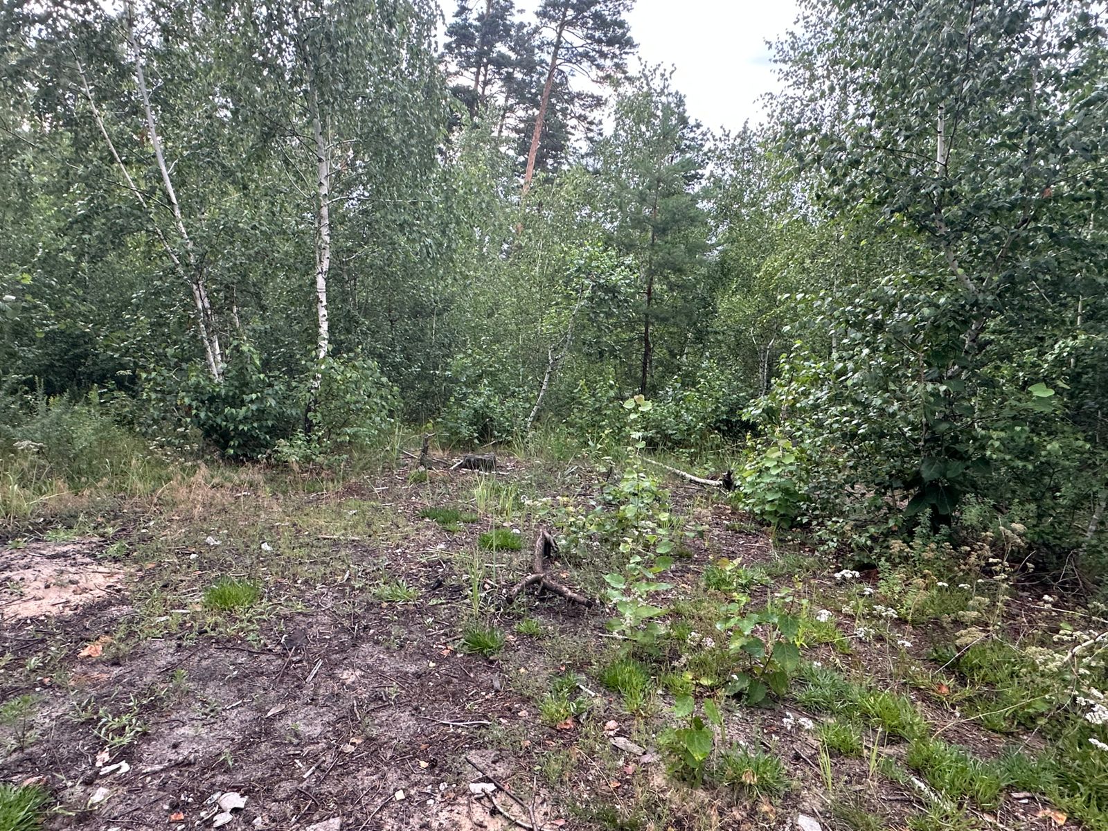 1838878154642324