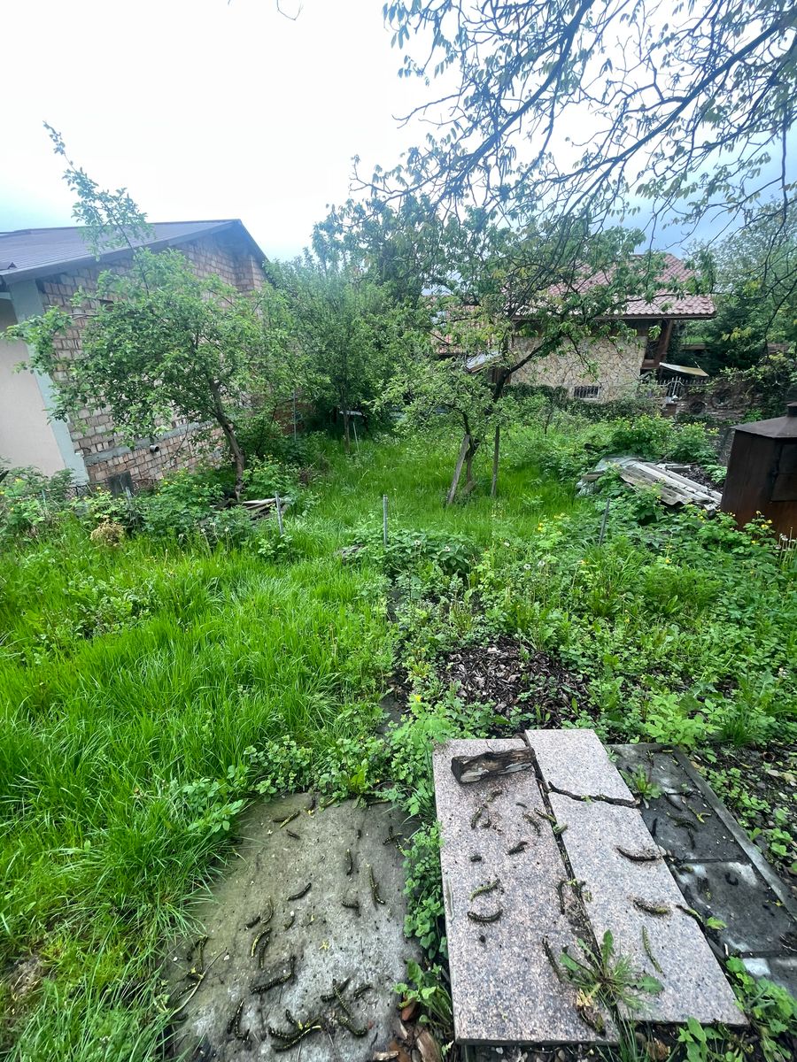1831535067497329