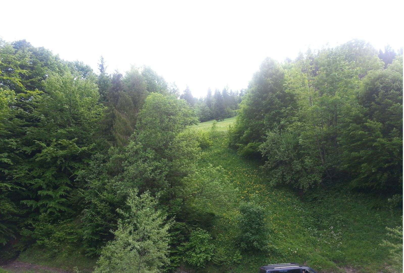 1833632682643332