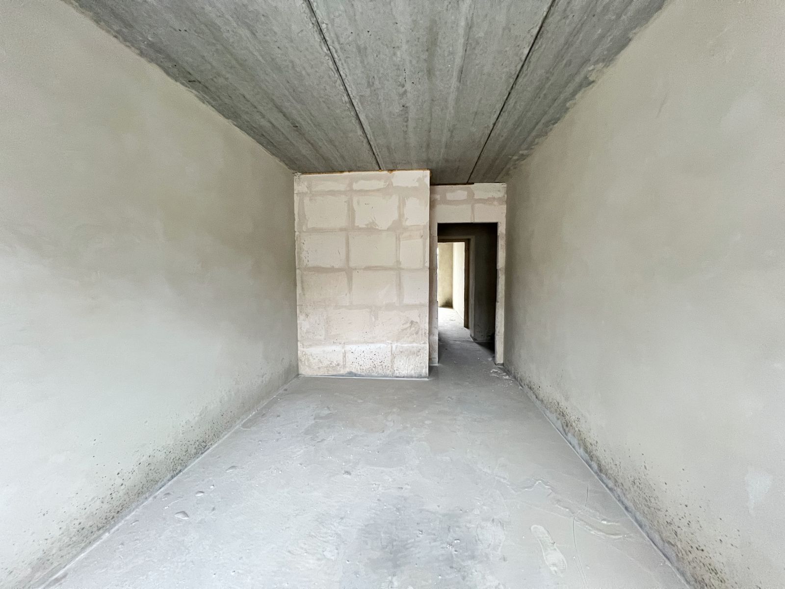 1835161964380335