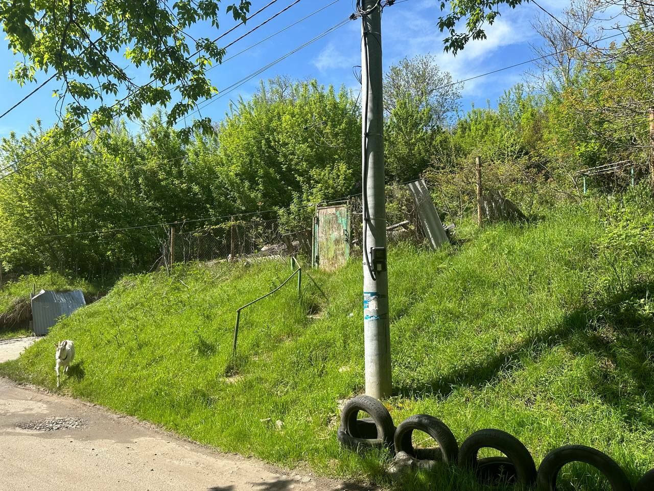 1799204672962337