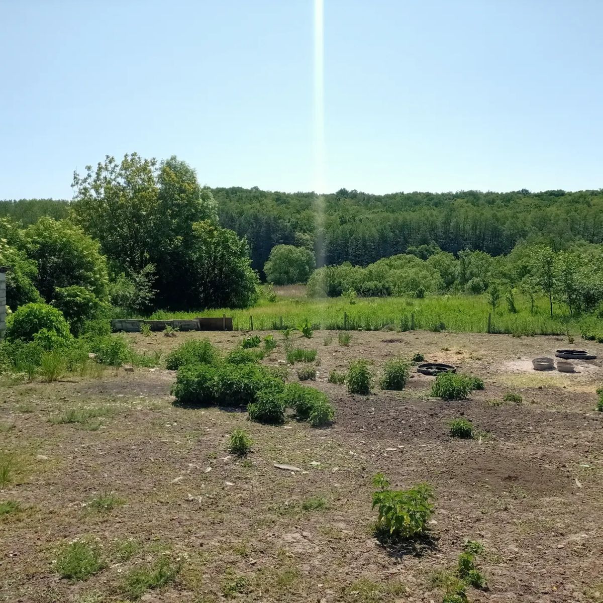 1767441272045344