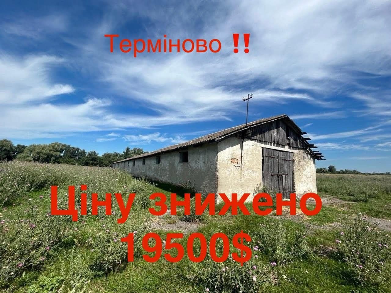 1817970916863035