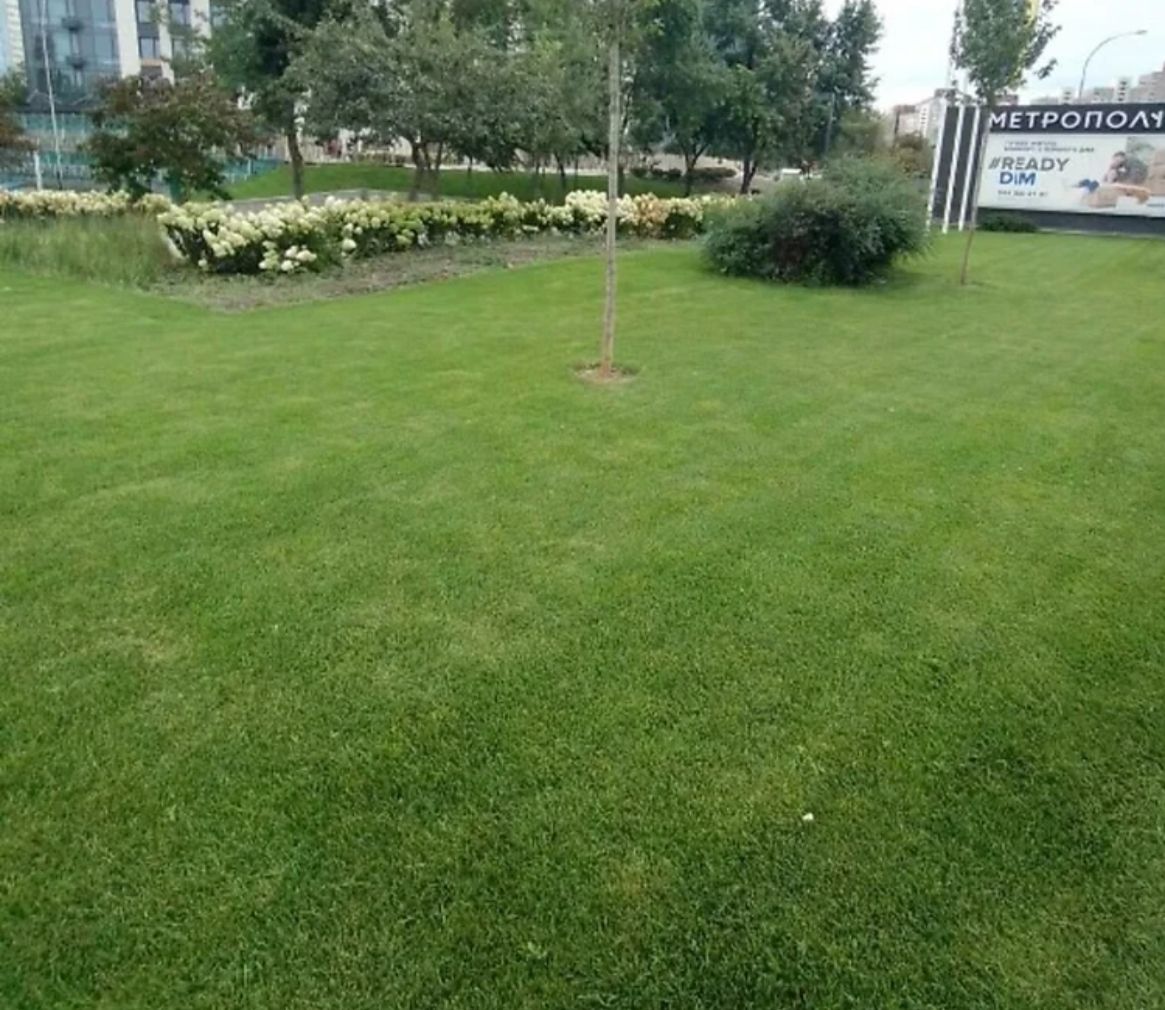 1834017476357035