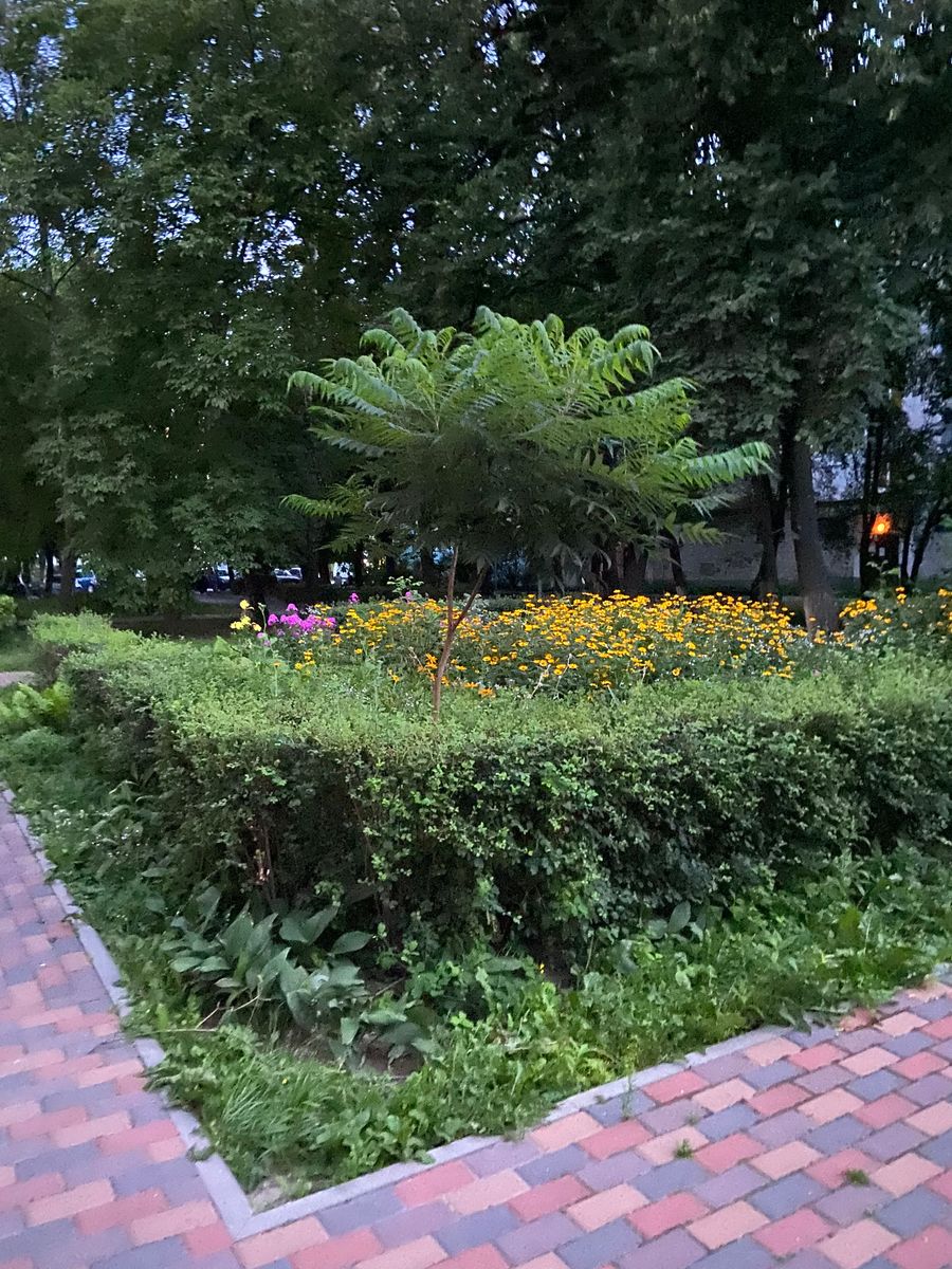 1771836207274357