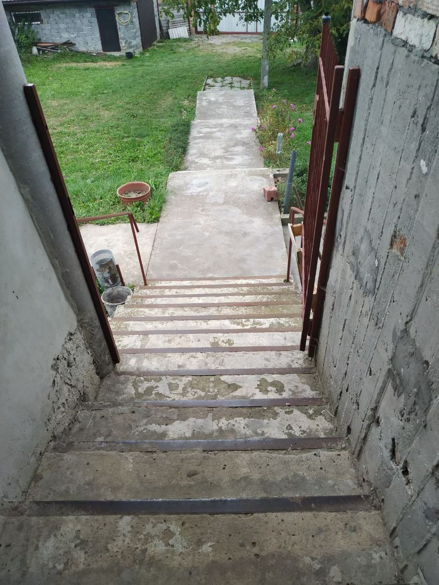 1831295298496358