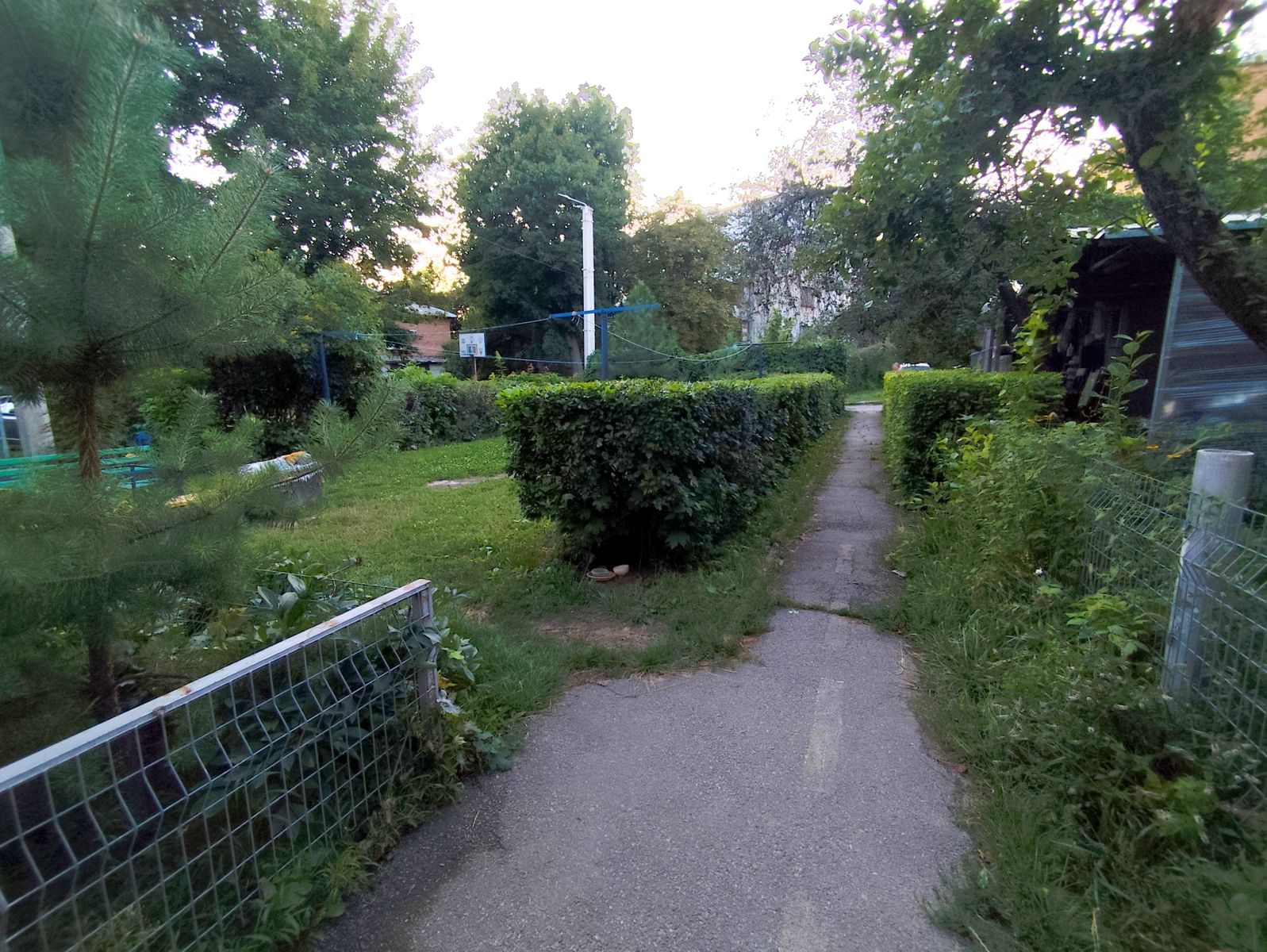 1840184445138359