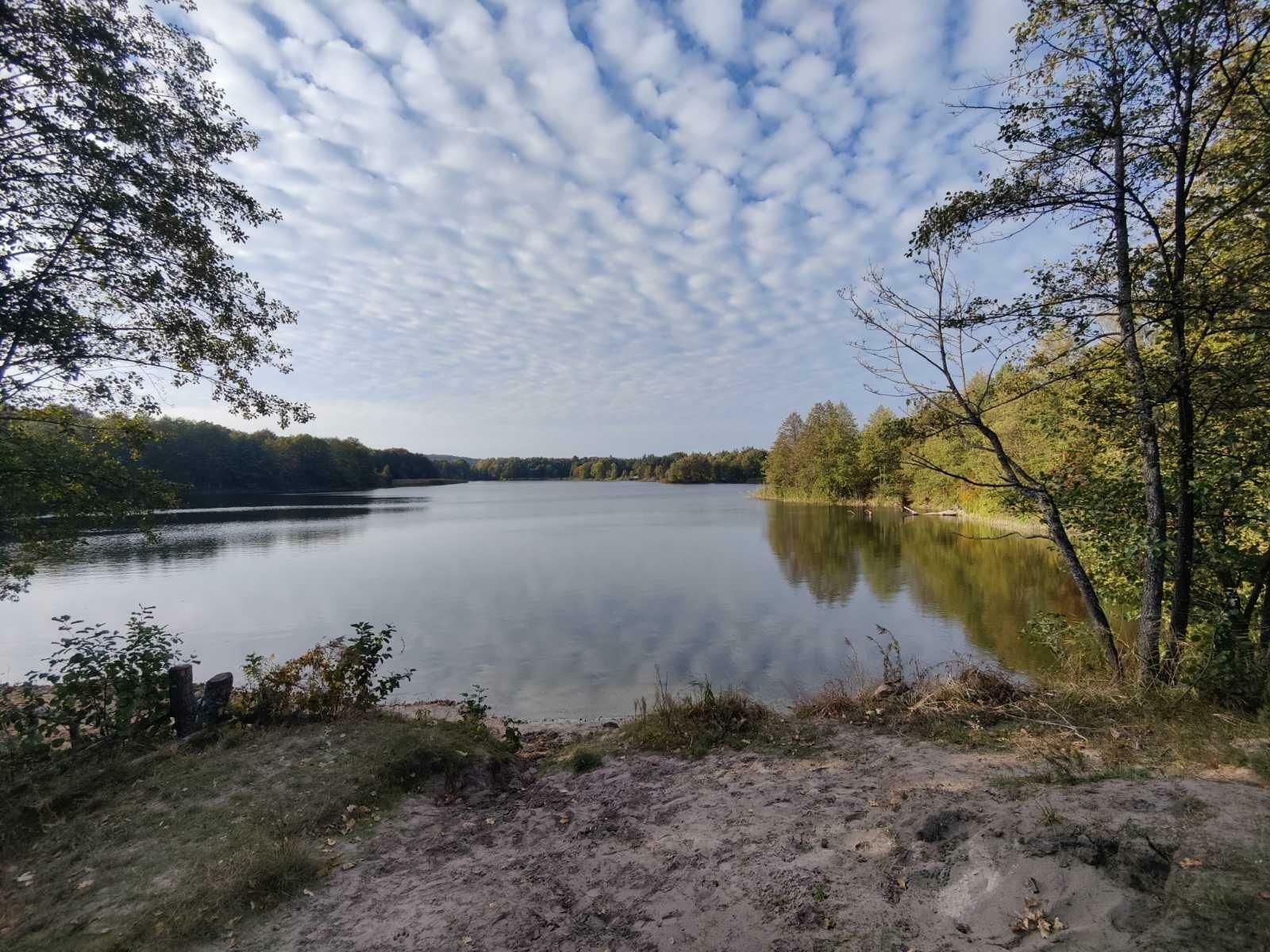 1825696954818036