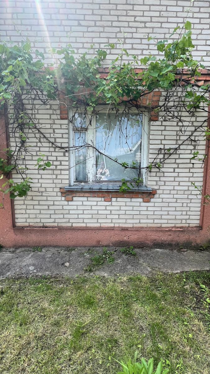 1834275640605361