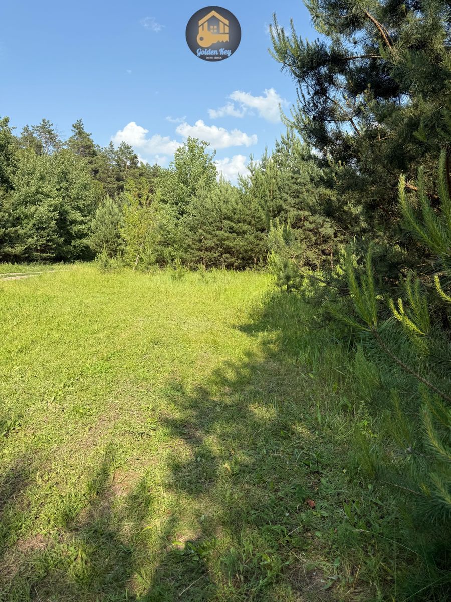 1835091017599037