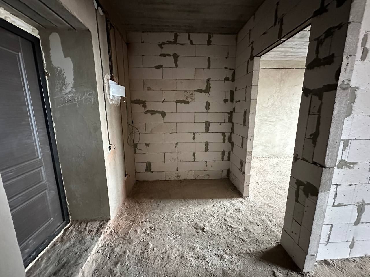 1833351303655370