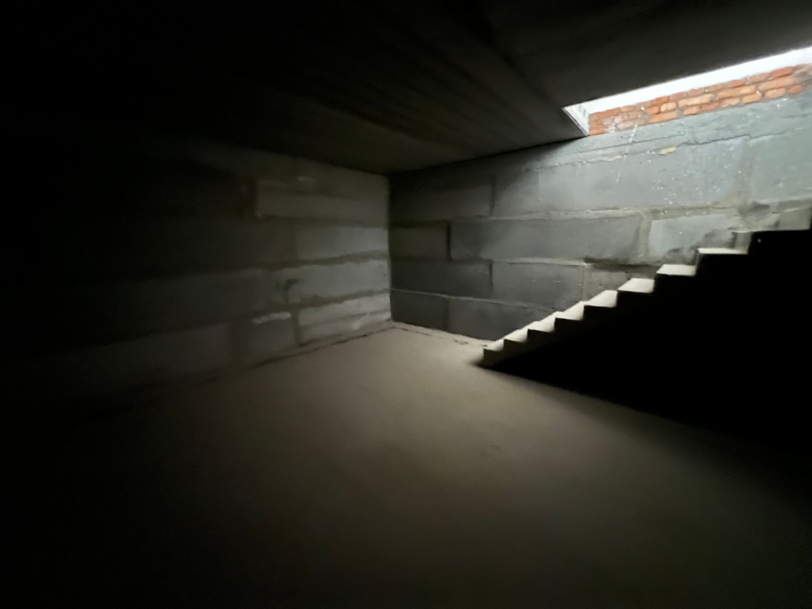 1838619516244370