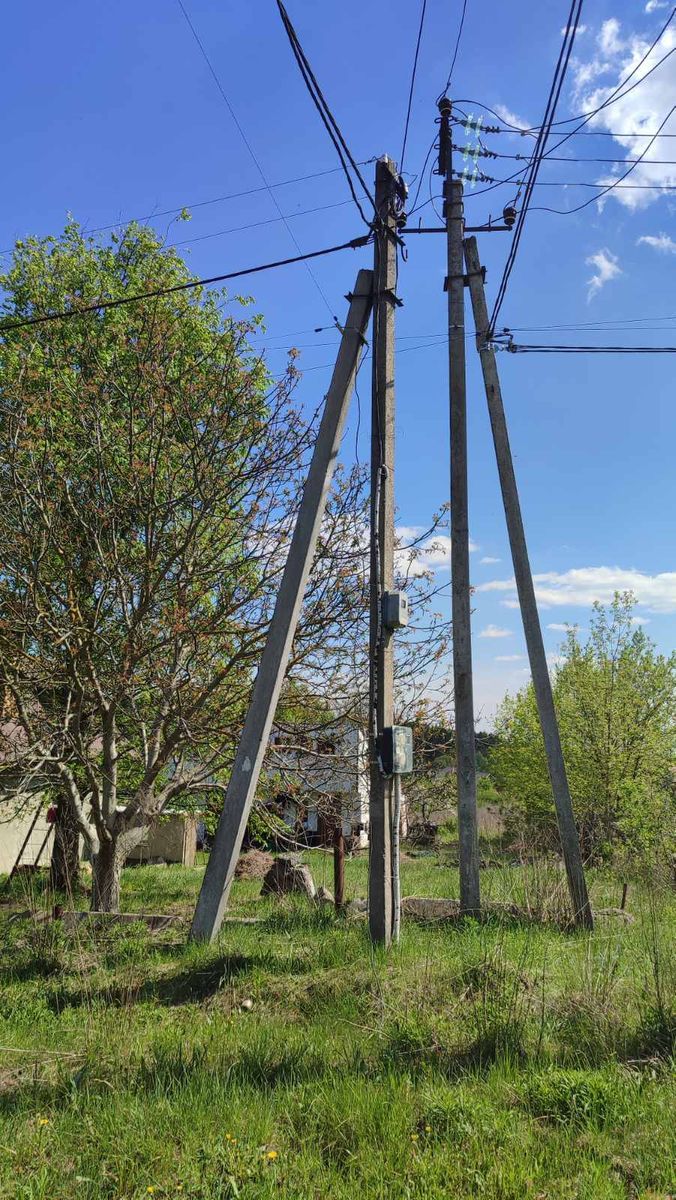 1798696099764038
