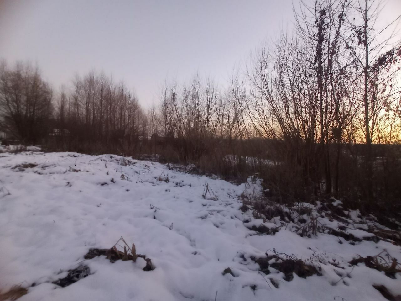1821241838042038