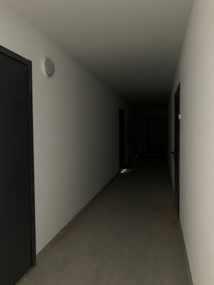 1834820827451382