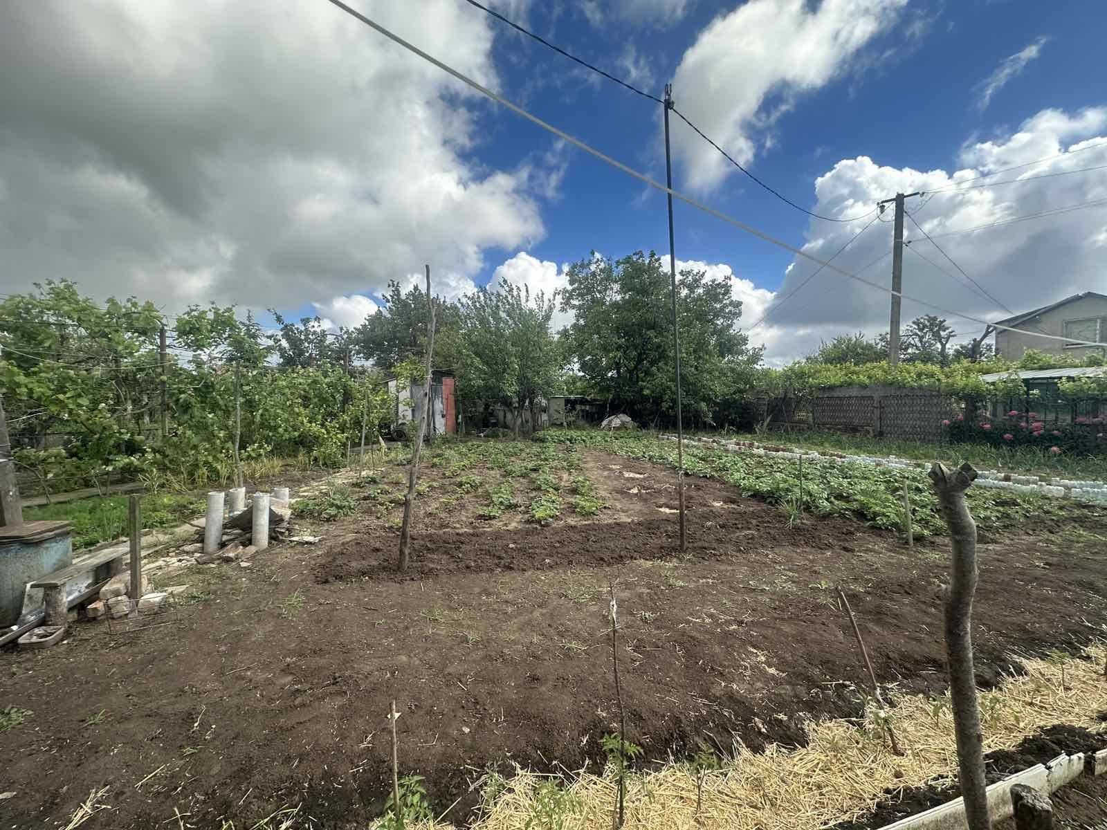 1833441524472384