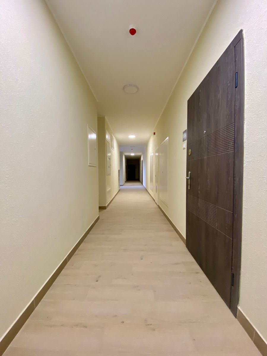 1830669869281387