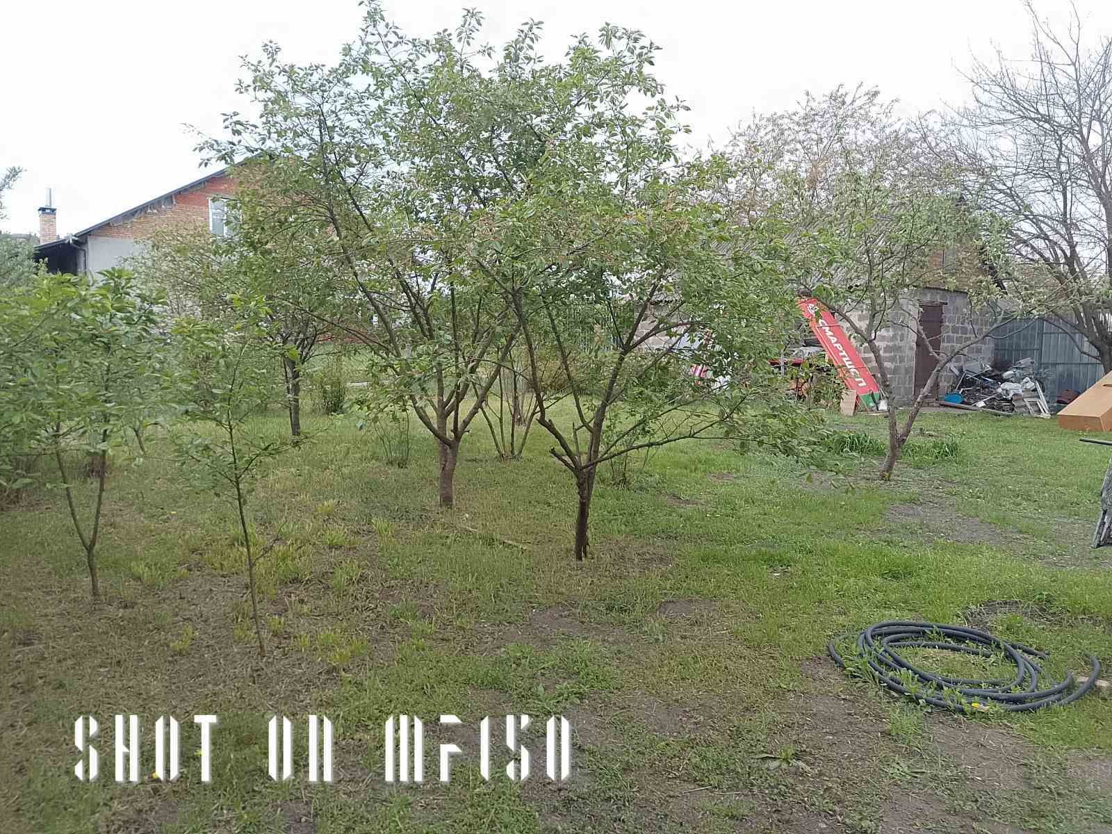 1831361958455395