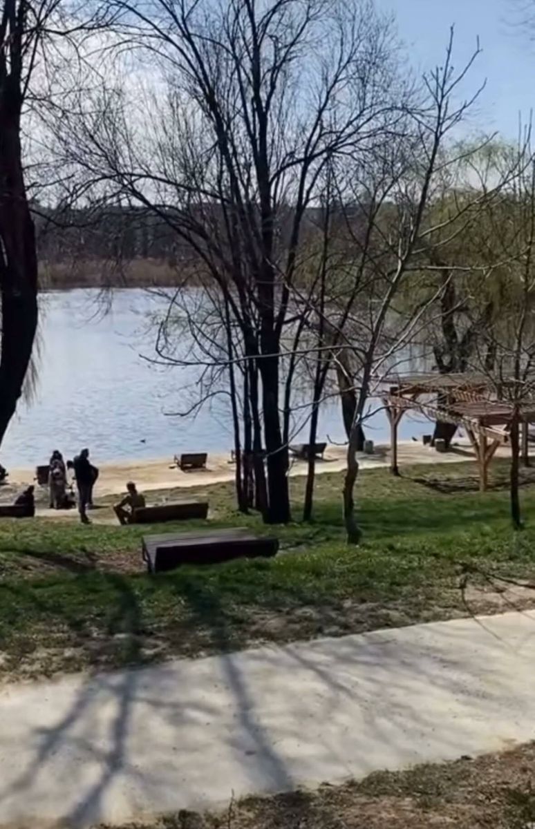 1803041866699405